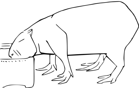 Capybara Eating Coloring Page